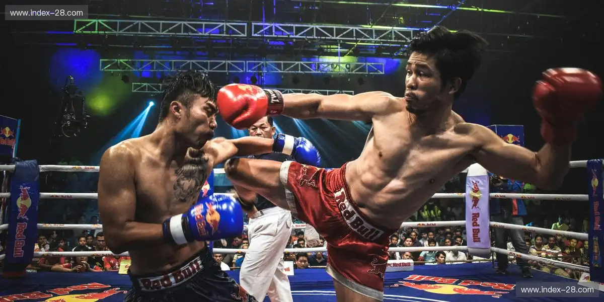 直播路径优化减少拥堵节点